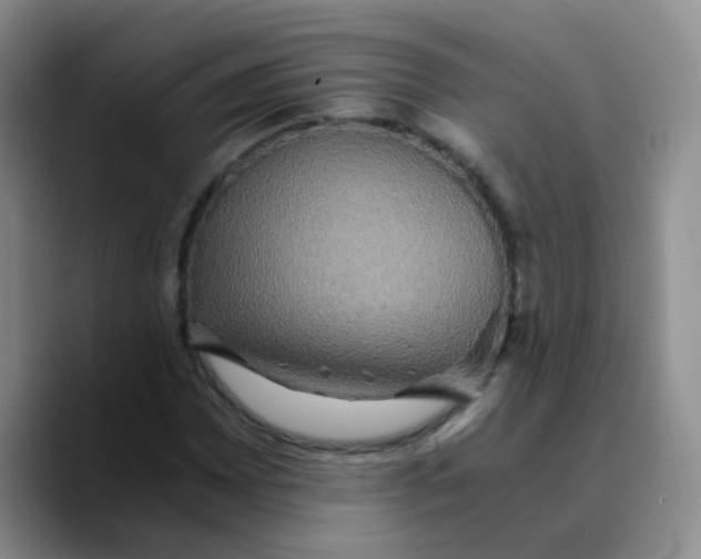 X0000089731065200707201837