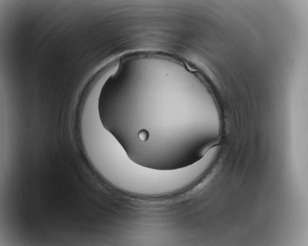 X0000089731069200707201837