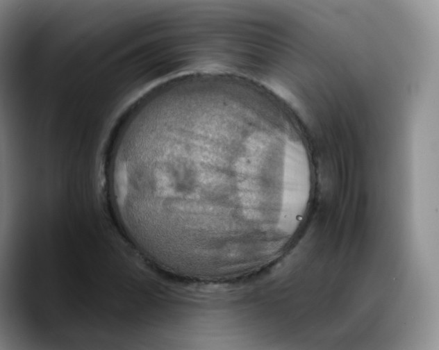 X0000089731070200707201837