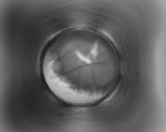 X0000089731071200707201836