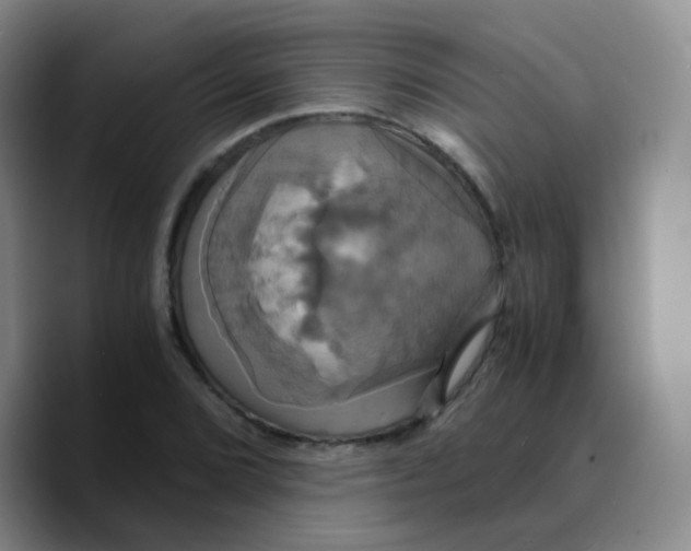 X0000089731072200707201836