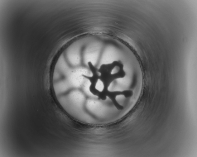 X0000089731075200707201836