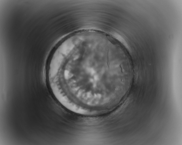 X0000089731076200707201836