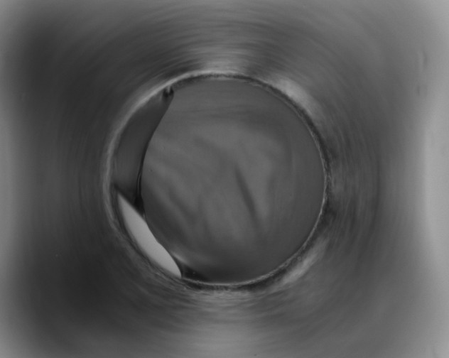 X0000089731077200707201836