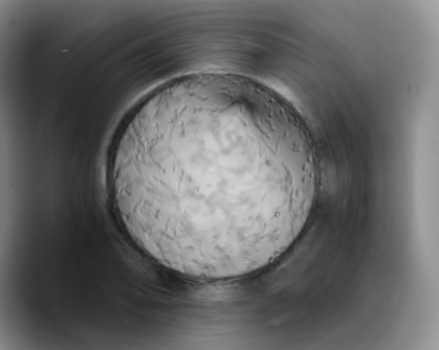 X0000089731078200707201836