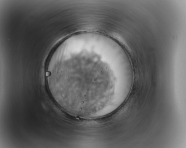 X0000089731079200707201836