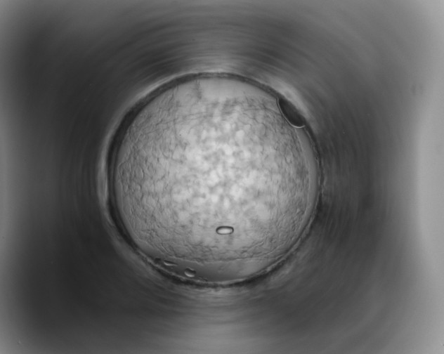 X0000089731080200707201836