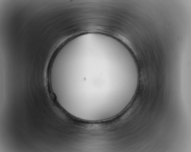 X0000089731082200707201836
