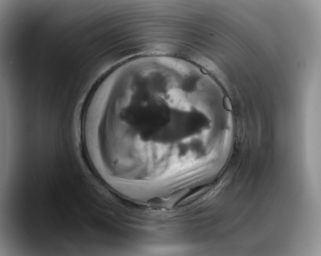 X0000089731083200707201836