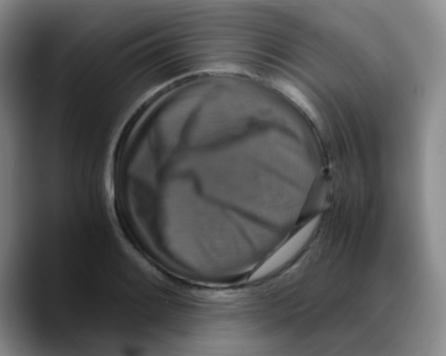 X0000089731084200707201836