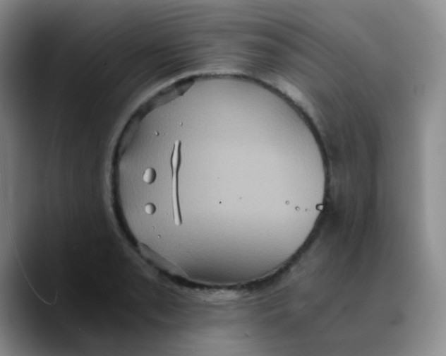 X0000089731085200707201836