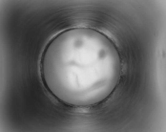X0000089731086200707201836