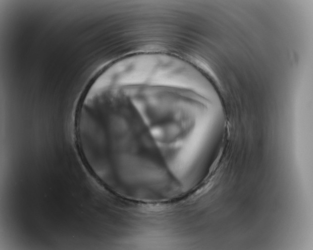 X0000089731087200707201836