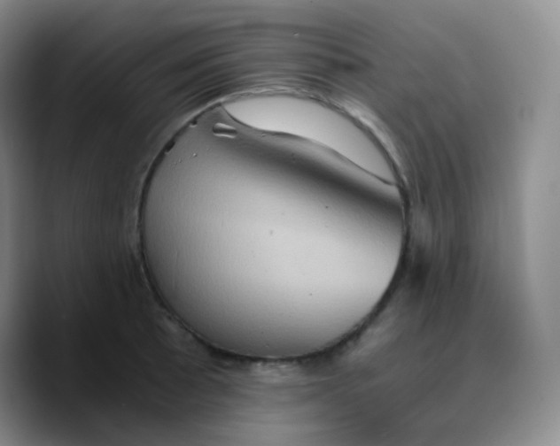 X0000089731089200707201836