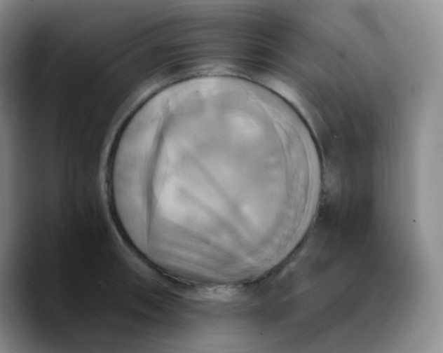 X0000089731090200707201836