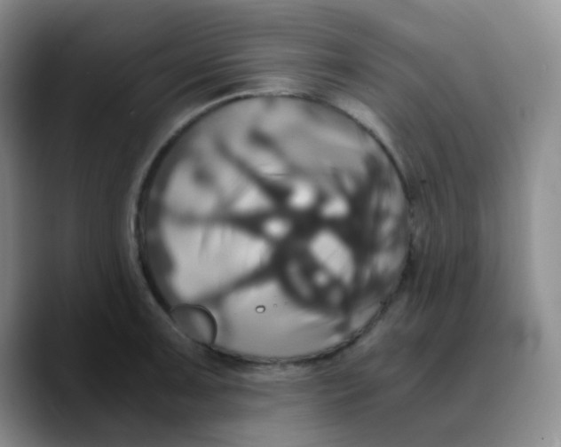 X0000089731091200707201836