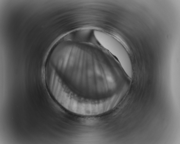 X0000089731092200707201836