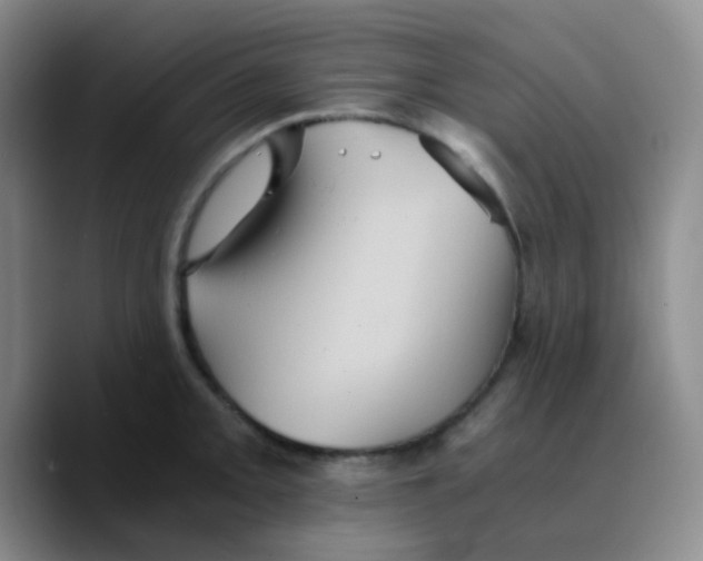 X0000089731093200707201836