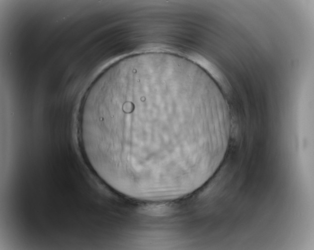 X0000089731094200707201836