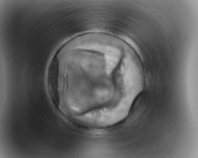 X0000089731096200707201836