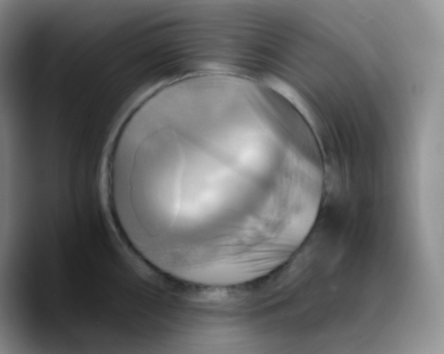 X0000089731098200707201836