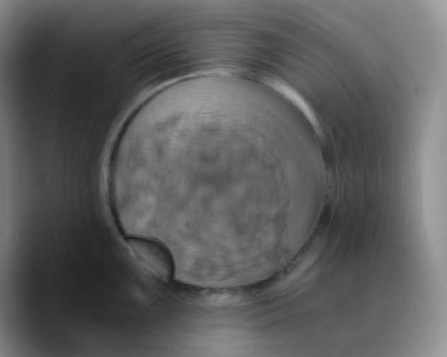 X0000089731099200707201836