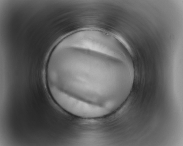 X0000089731100200707201836