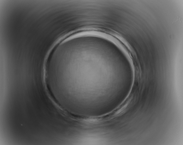X0000089731101200707201836