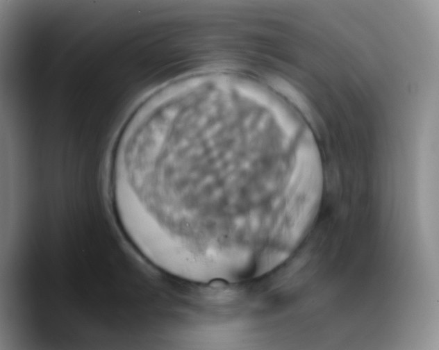 X0000089731103200707201836