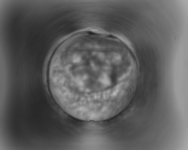 X0000089731104200707201836