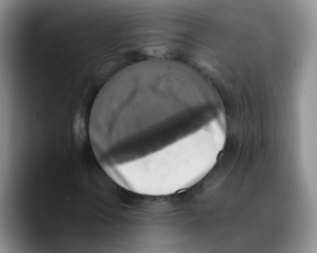 X0000089731106200707201835