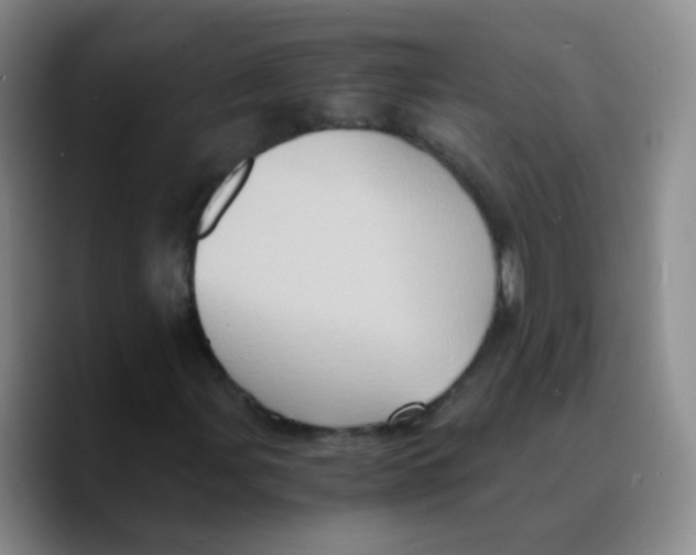 X0000089731107200707201835