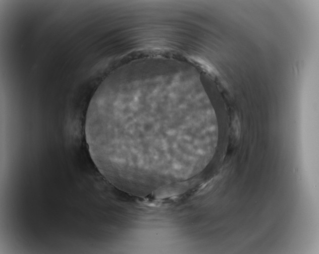 X0000089731110200707201835