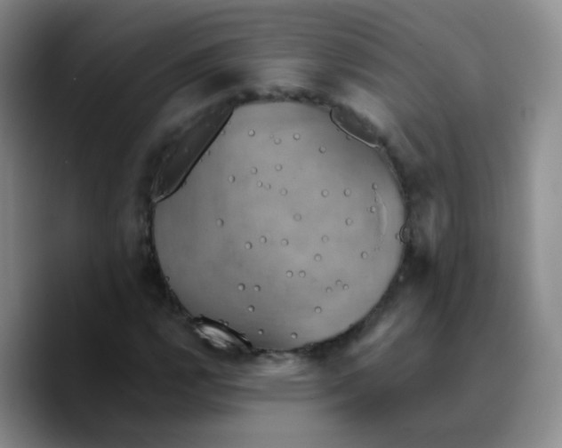 X0000089731112200707201836