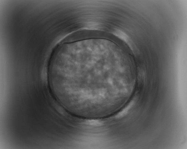 X0000089731114200707201836