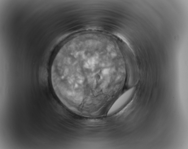 X0000089731115200707201836