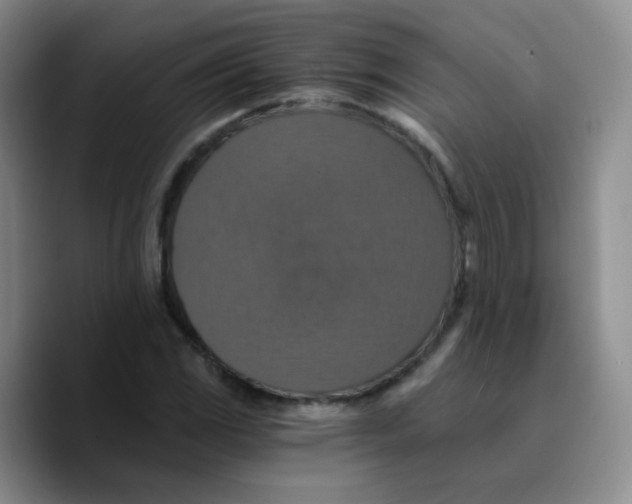 X0000089731117200707201836