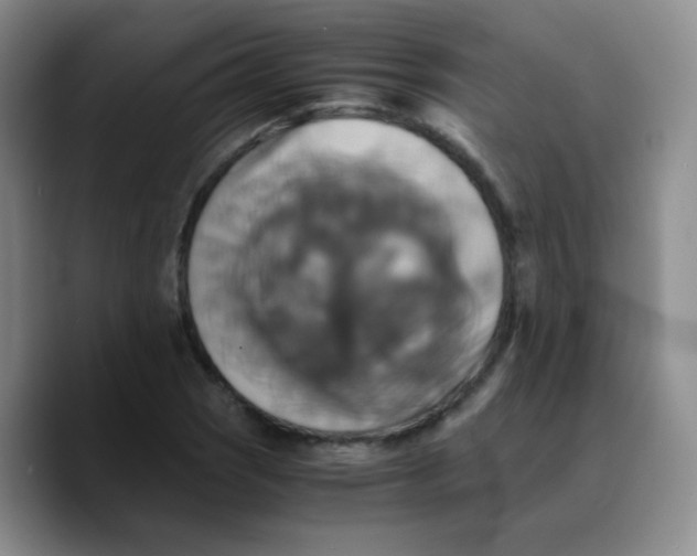 X0000089731121200707201836