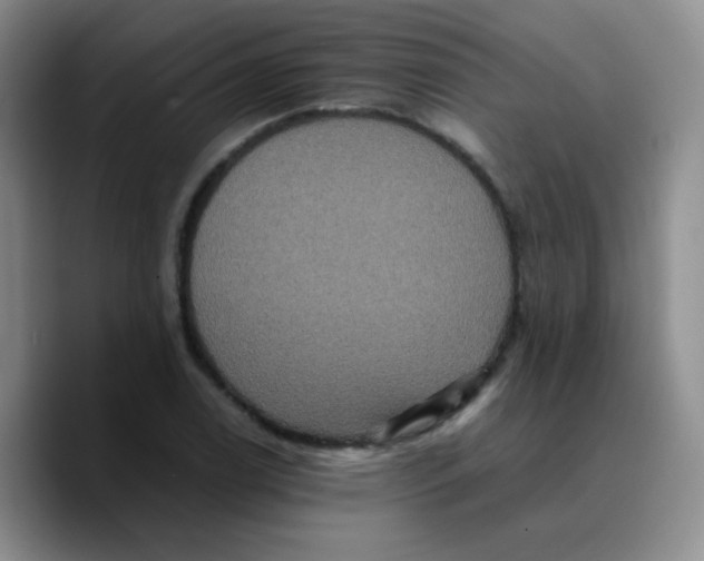 X0000089731122200707201836