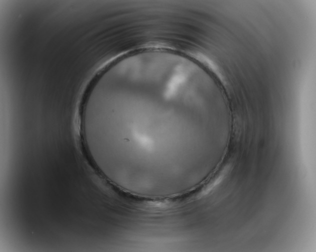 X0000089731125200707201836