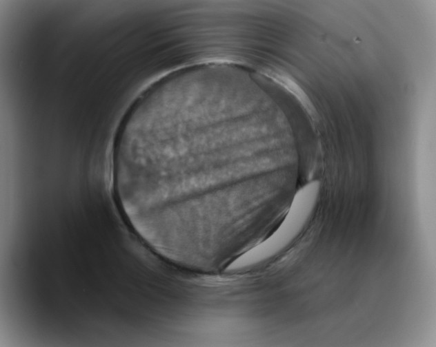 X0000089731132200707201836