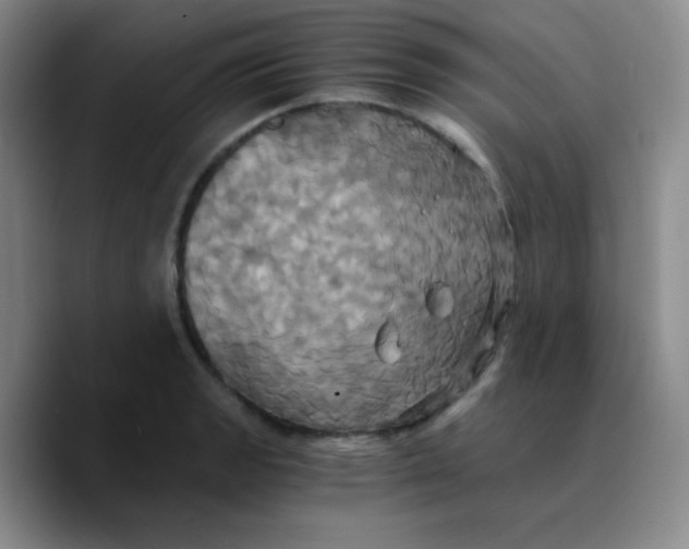 X0000089731133200707201836