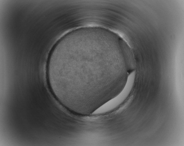 X0000089731134200707201836