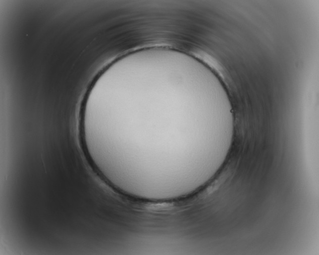 X0000089731135200707201836