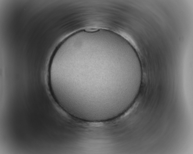 X0000089731136200707201836
