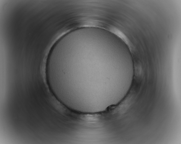 X0000089731138200707201836