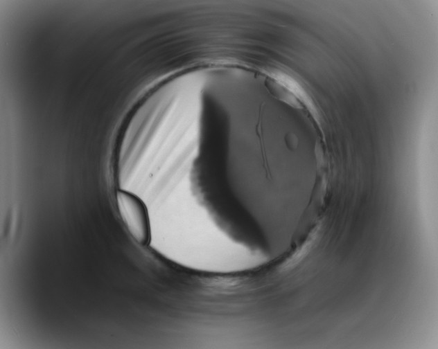 X0000089731141200707201836