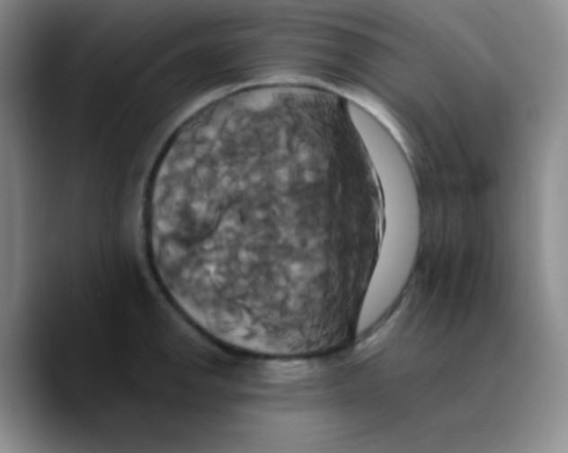 X0000089731142200707201836