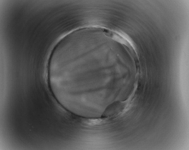 X0000089731144200707201836