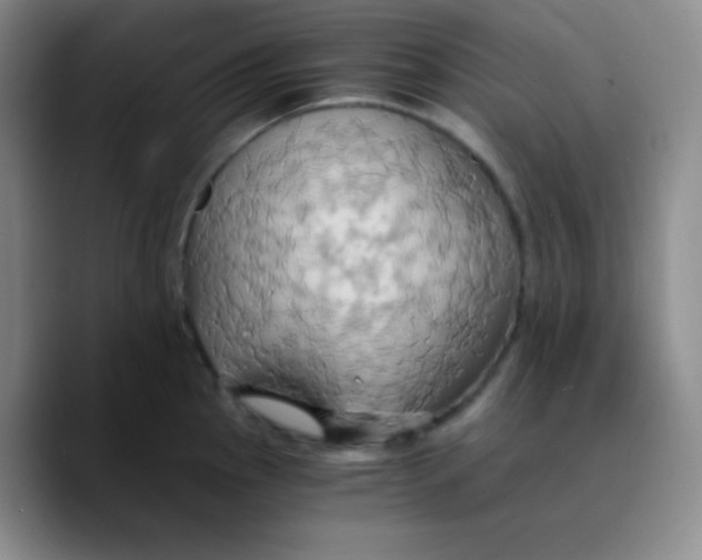 X0000089731145200707201836